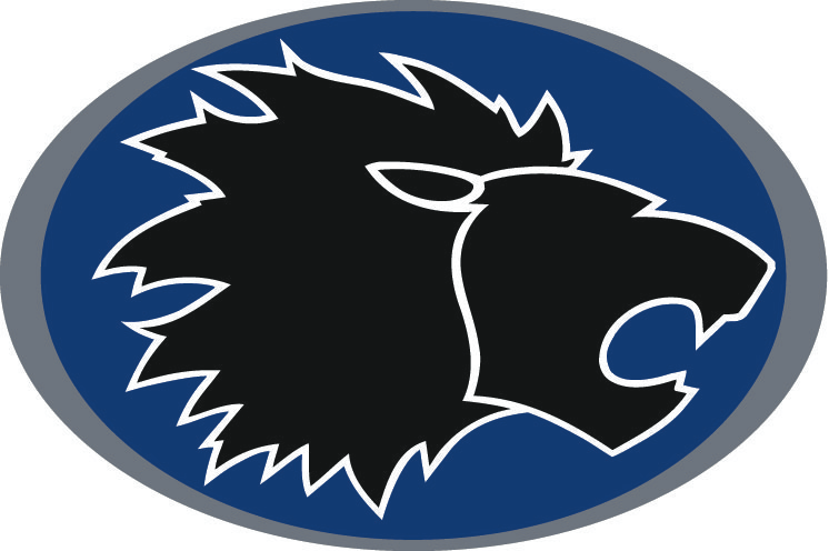 Zürich Lions